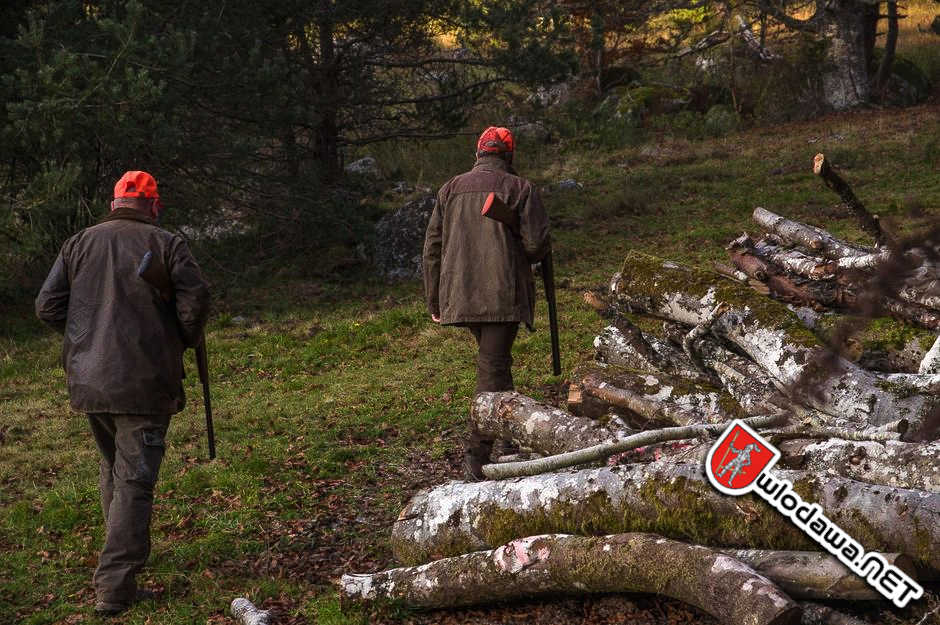  Wyryki: Myśliwi po polowaniu tropili zaginionego naganiacza Wydarzenia z miasta Włodawy powiat włodawskiego i gminy Włodawa oraz Polesie Zachodnie na Sygnale i 24 na dobę