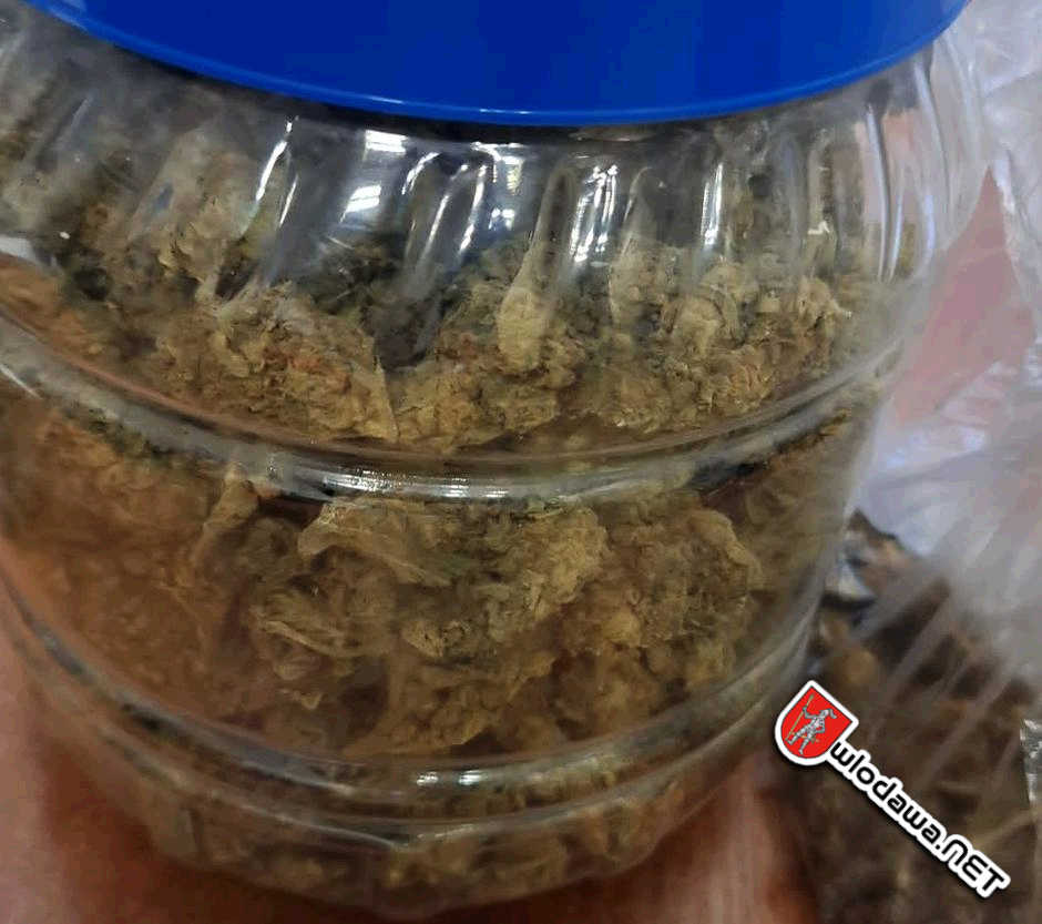 Włodawa: Spiżarnia dilera a w niej 4 słoiki po ogórkach które pomieściły 1500 porcji narkotyków Wydarzenia z miasta Włodawy powiat włodawskiego i gminy Włodawa oraz Polesie Zachodnie na Sygnale i 24 na dobę